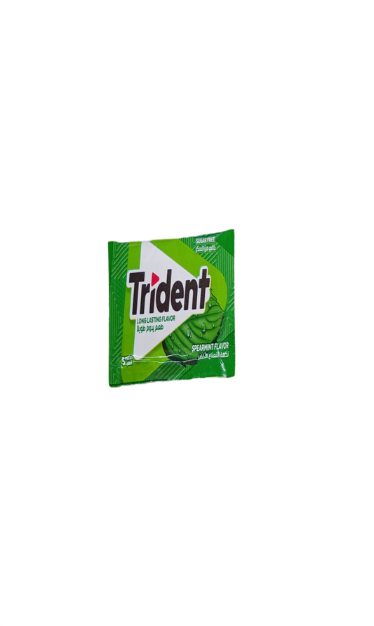 Trident Spearmint Sans Sucre 5Pcs