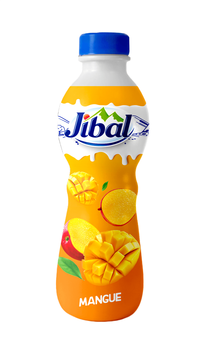 Jibal Yogurt à boire Jibal Mangue 380G