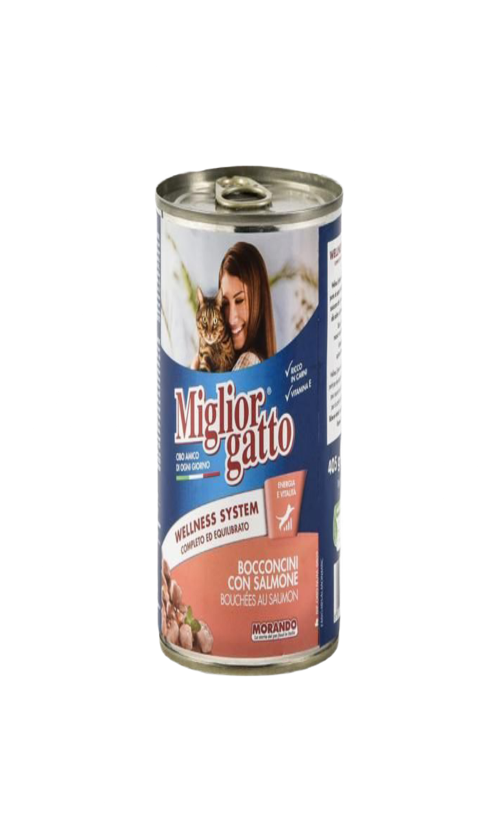 Miglior Gatto Pate Au Saumon 405G